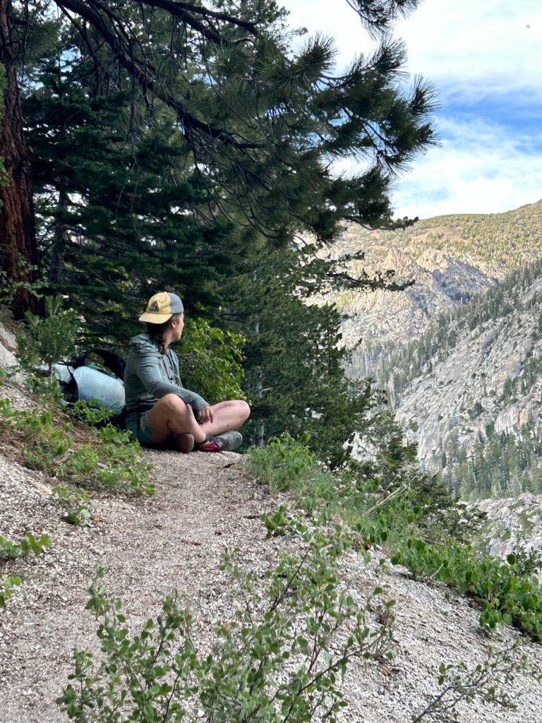 A person sitting on a trail overlooking a mountainous landscape, surrounded by trees and greenery.