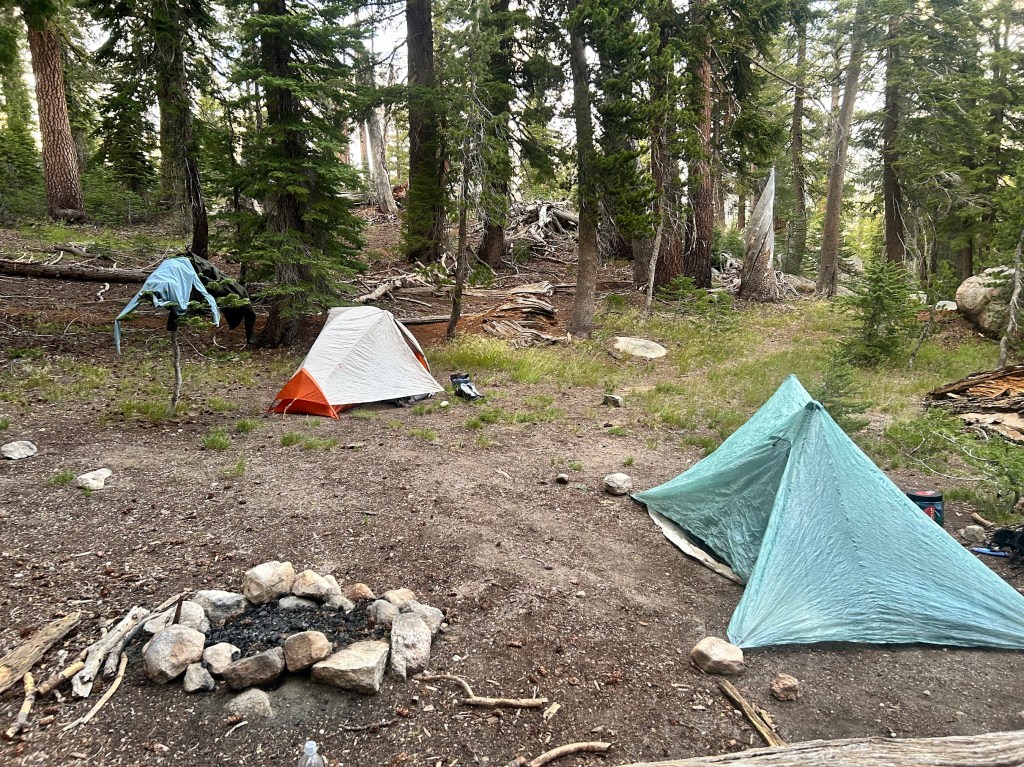 A campsite in a forest with two tents, one orange and white and another light blue, surrounded by trees and a fire pit made of stones.